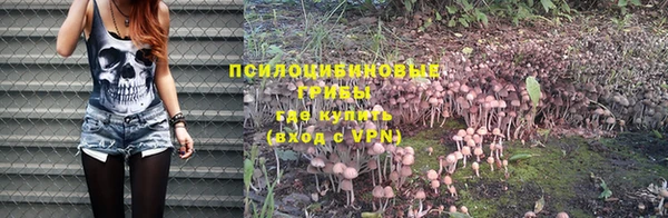 экстази Лихославль